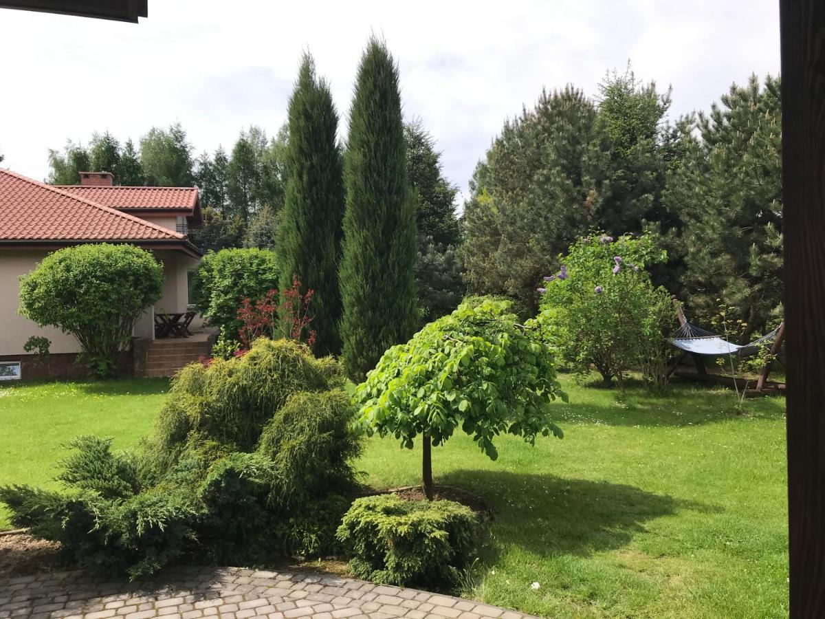 Swierkowe Wzgorze Grabków Kültér fotó